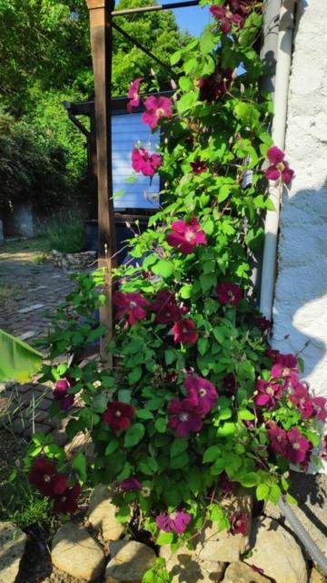 Villa Sous Le Tilleul Barr Dış mekan fotoğraf